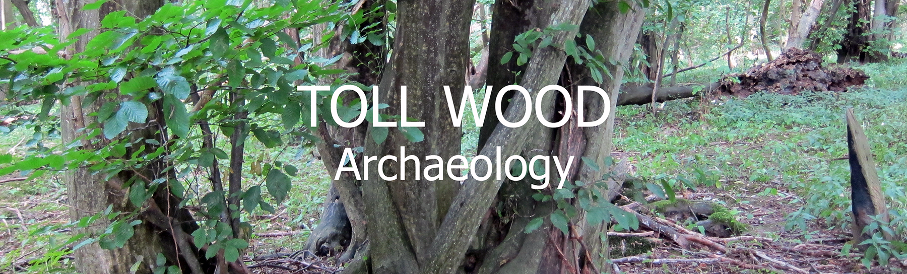 Banner for Archaeology pages